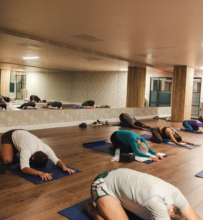 a group of people in a yoga studio