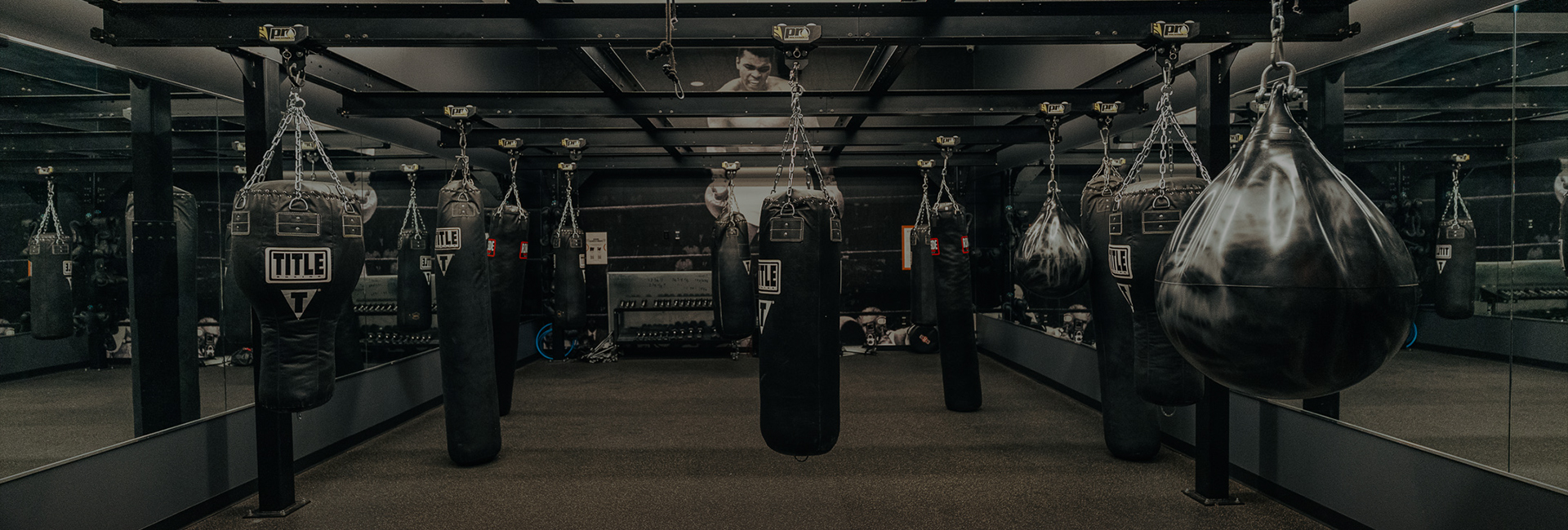 punching bags from a ceiling