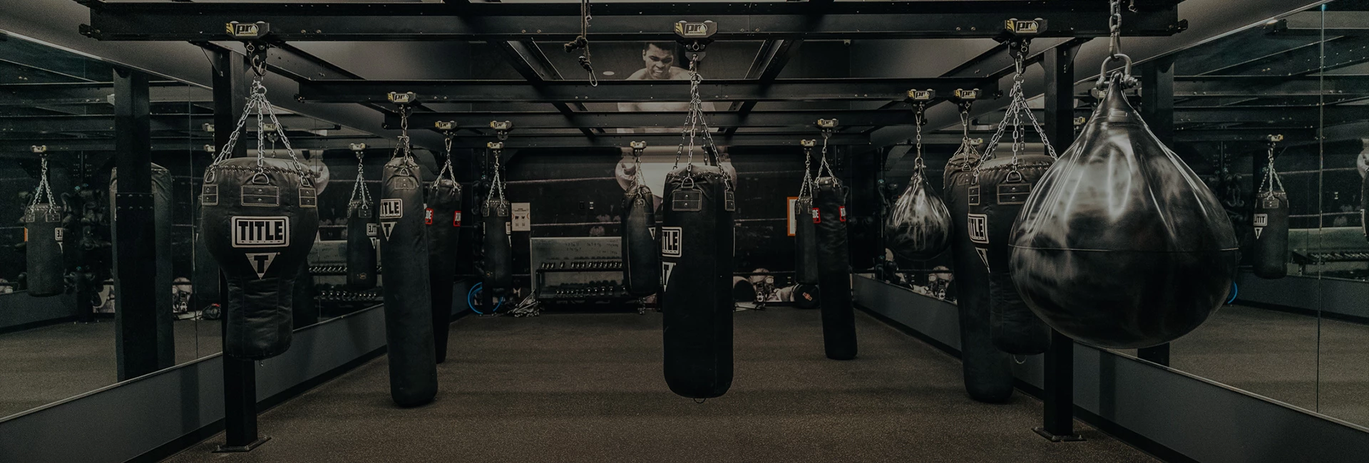 punching bags from a ceiling
