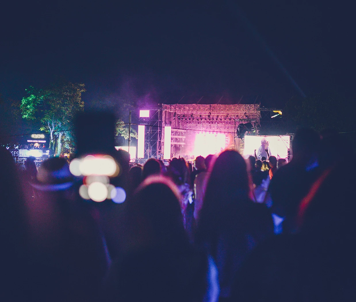 a crowd of people at a concert