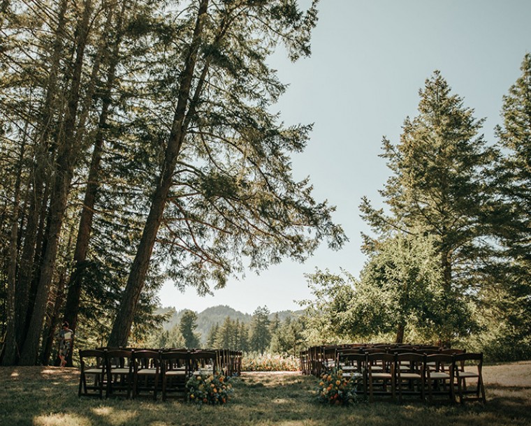 wide shot of wedding ceremony surrounded by large trees