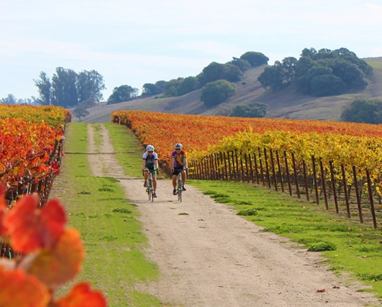 2 people biking through field