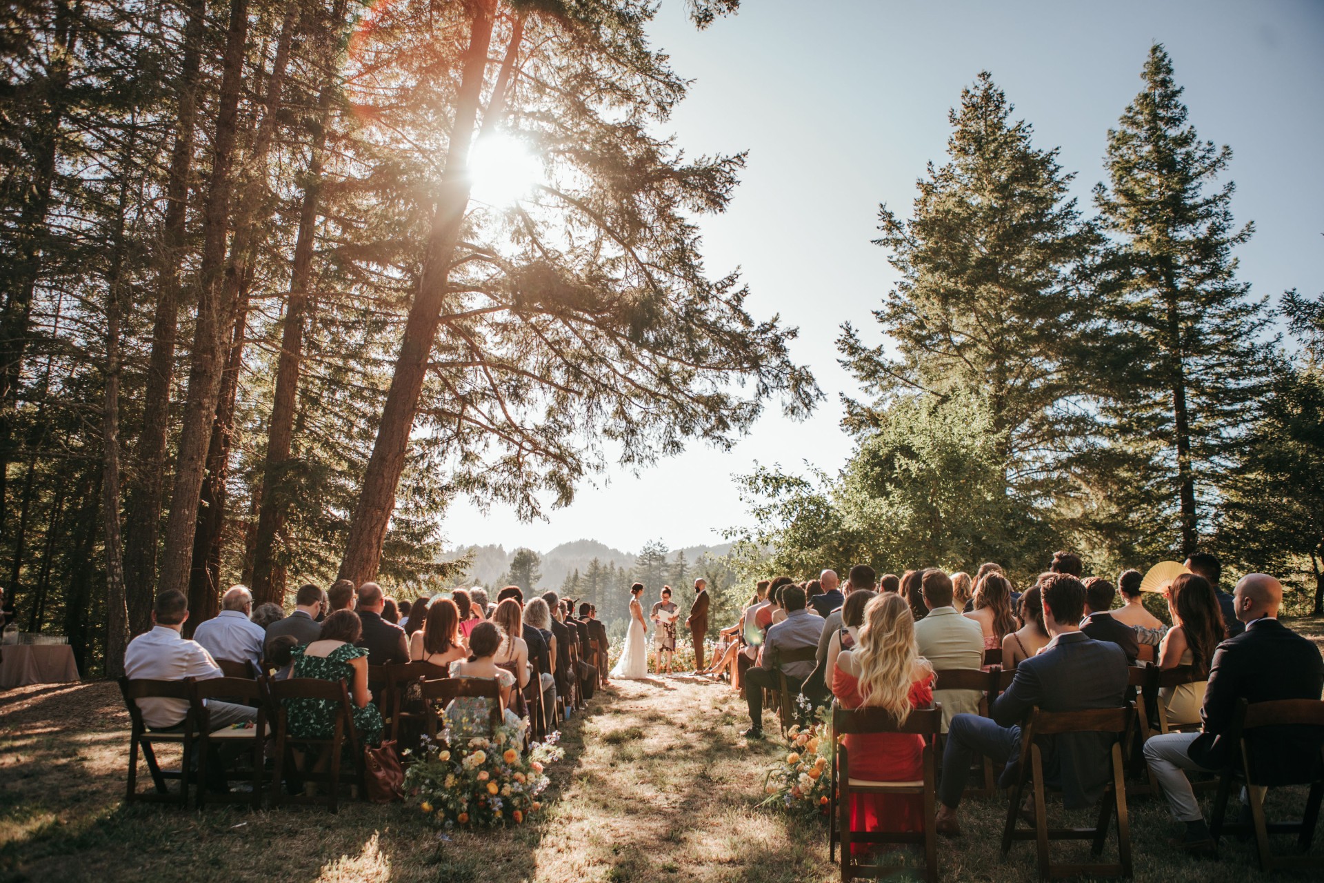 a group of people sitting in chairs under a tree