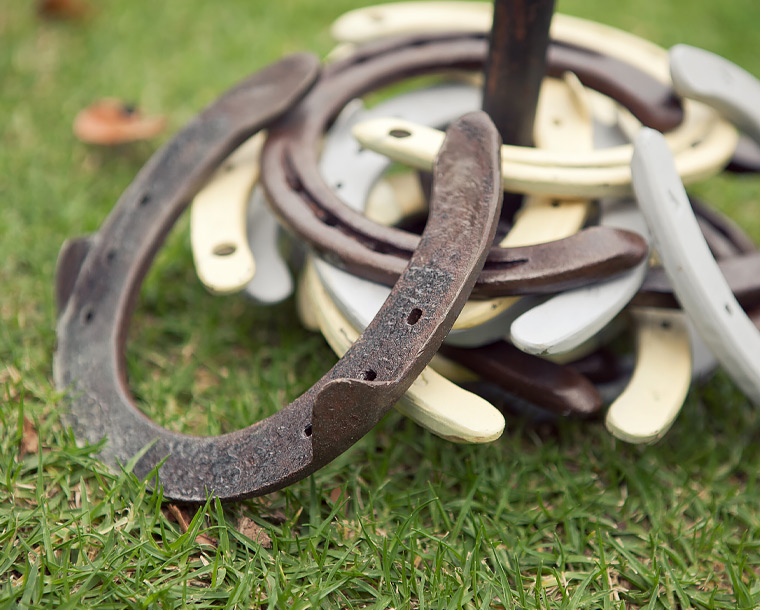 horse shoe on grass