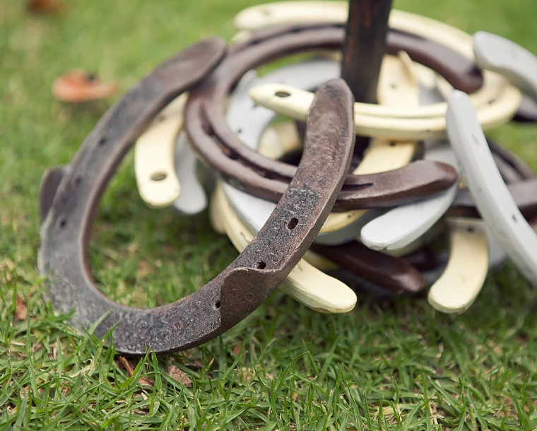 horse shoe on grass