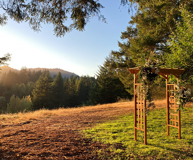bower wedding venue outdoor with forest backdrop