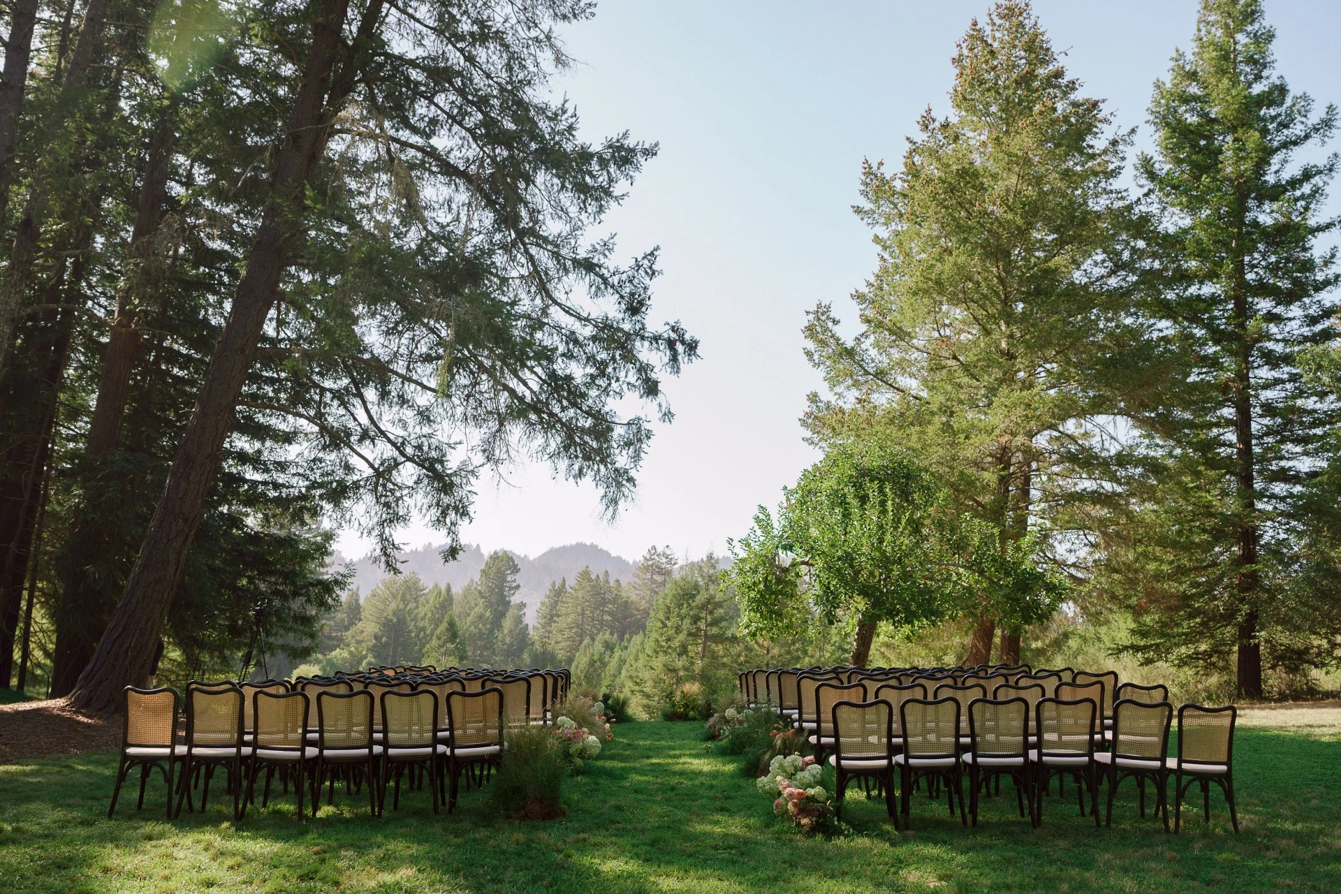 a group of chairs in a garden