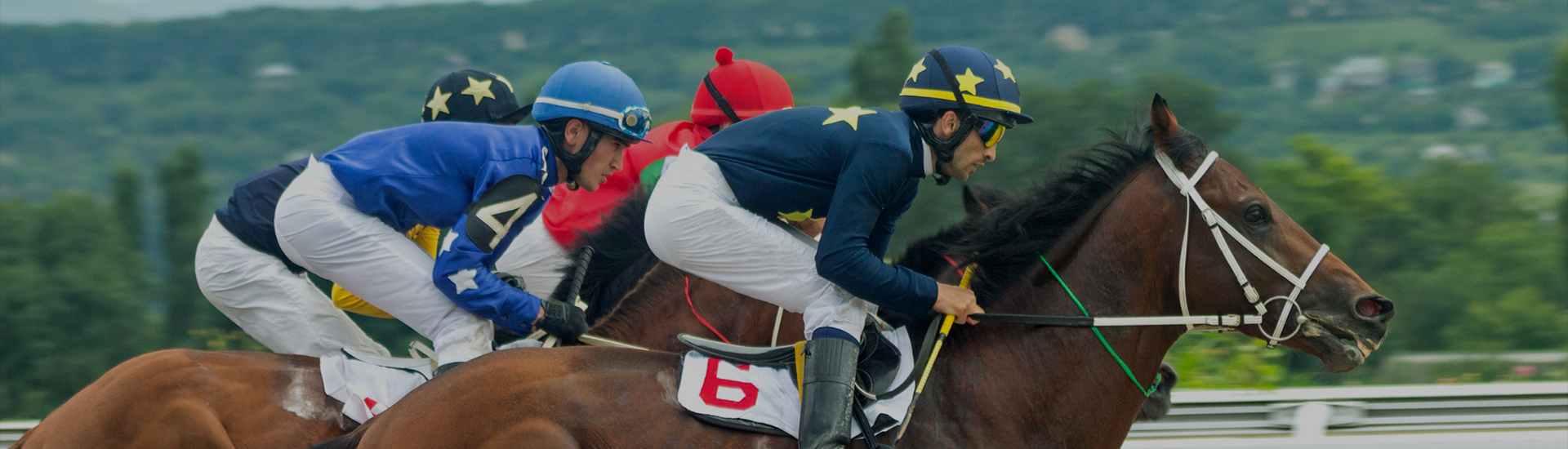 a group of jockeys riding horses