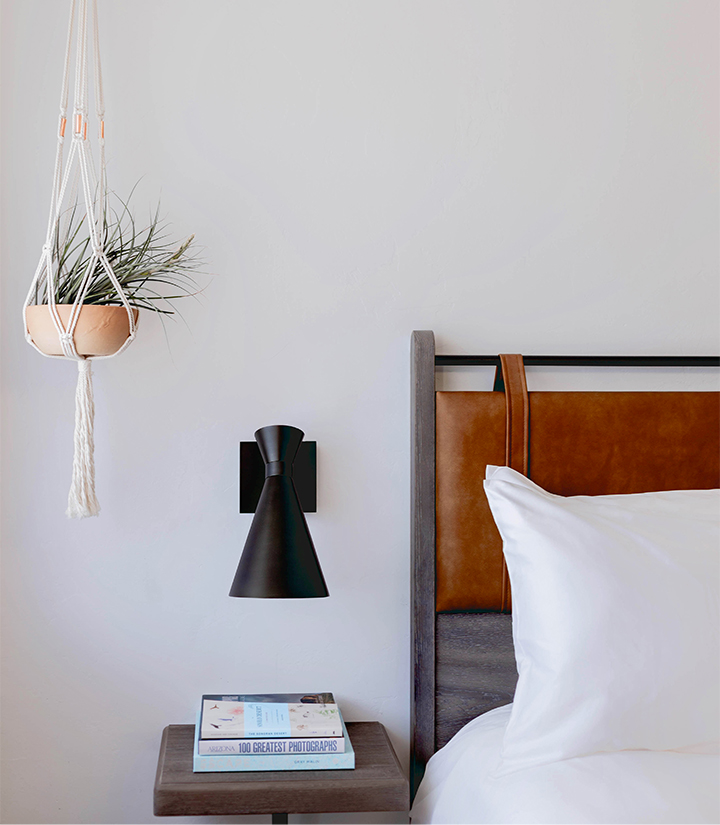 a plant on a lamp