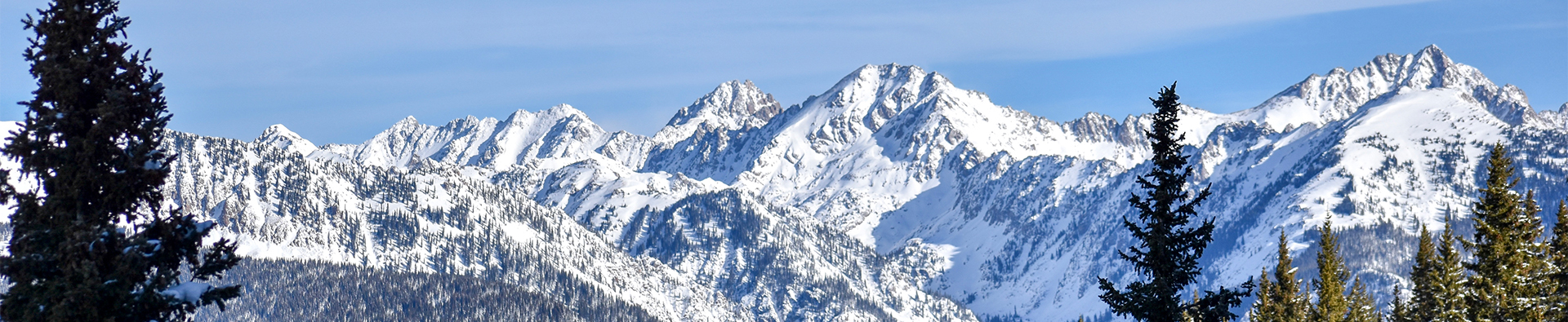 a snowy mountain tops with trees
