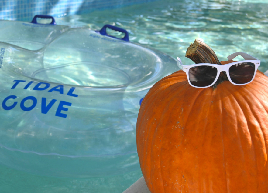 a pumpkin with sunglasses on top of it