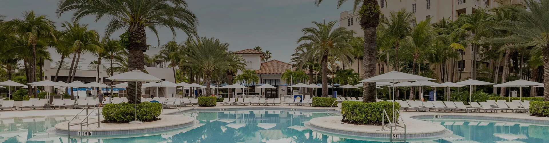 a pool with palm trees and umbrellas