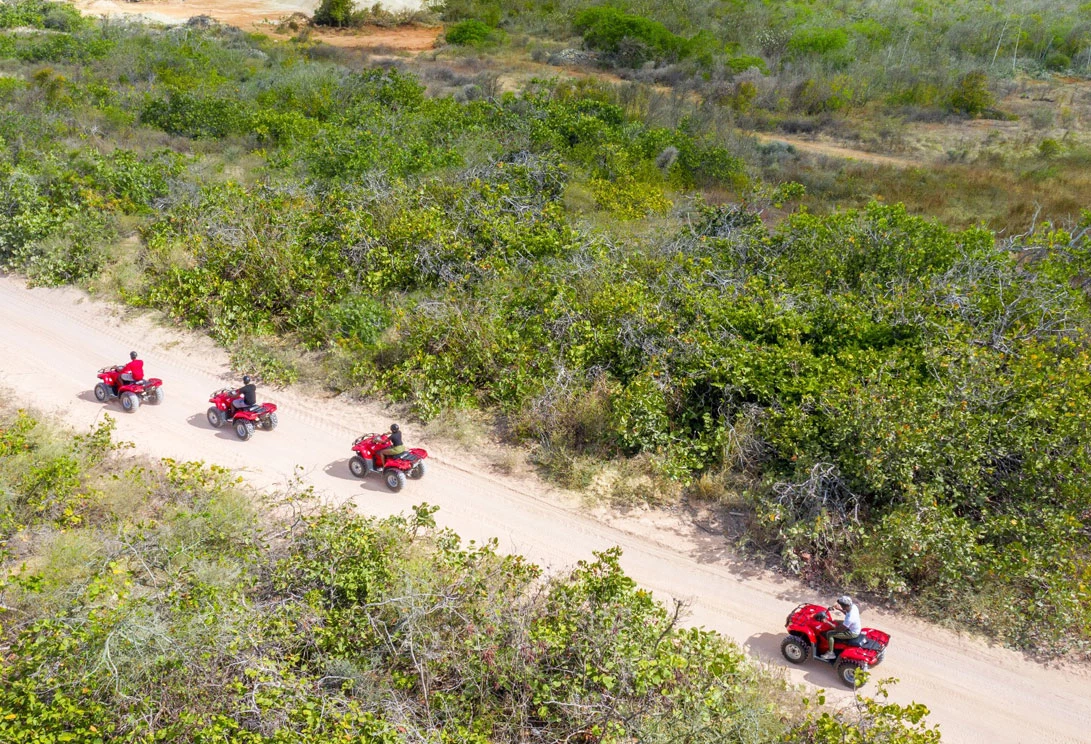 people riding 4 wheelers