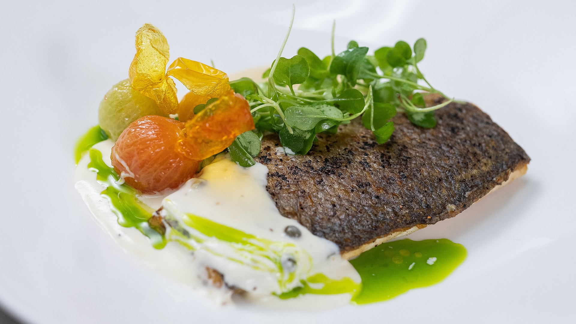 a plate of food with vegetables
