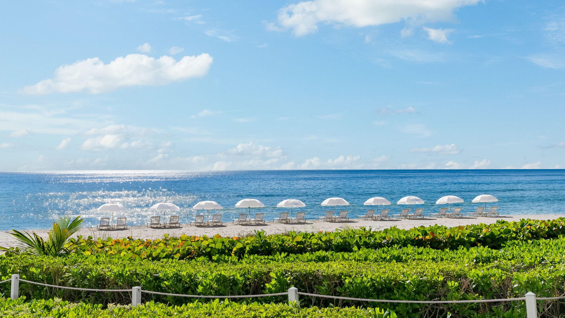 a beach with chairs and umbrellas