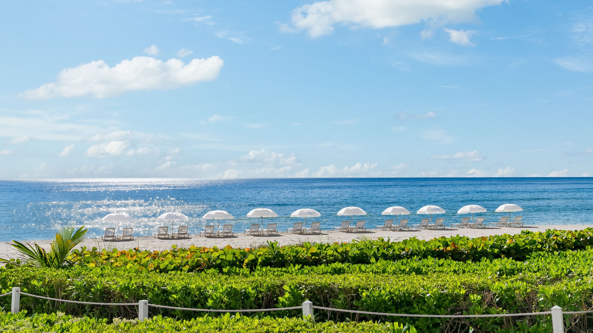 a beach with chairs and umbrellas