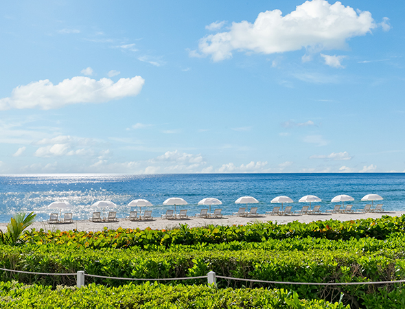 a row of chairs and umbrellas on a beach