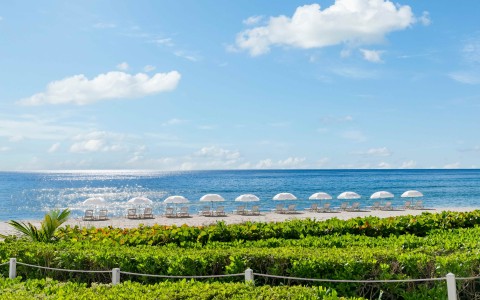 a beach with umbrellas and chairs