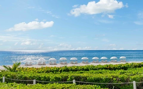 a beach with umbrellas and chairs