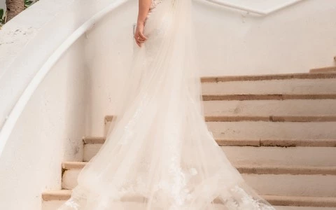 a woman in a wedding dress