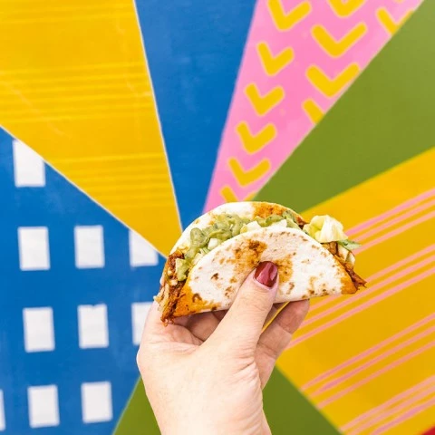 a hand holding a burrito