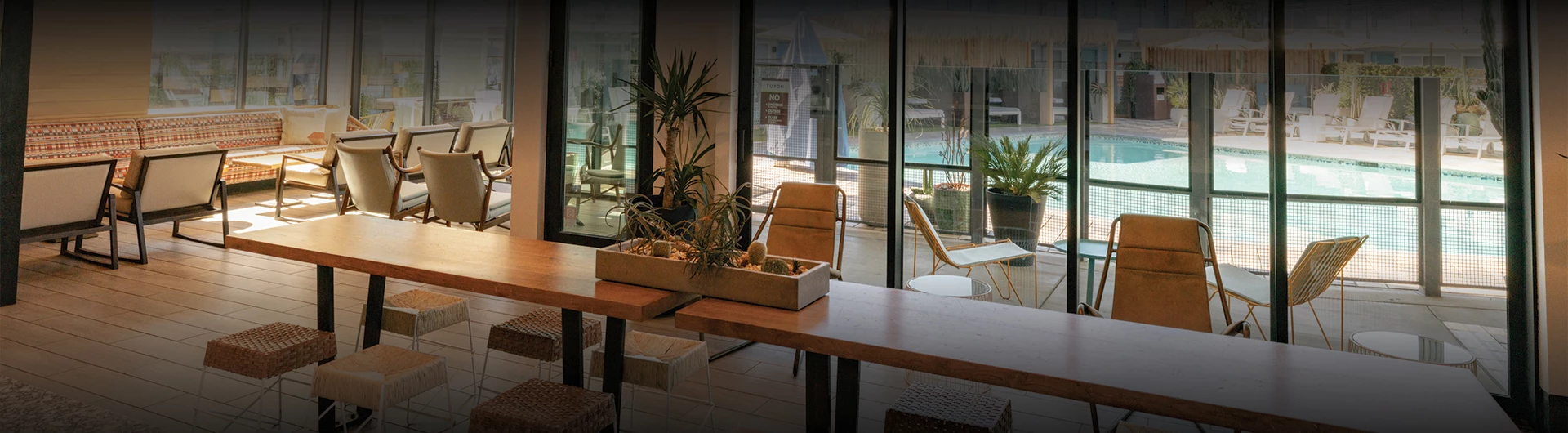 a table with plants on it