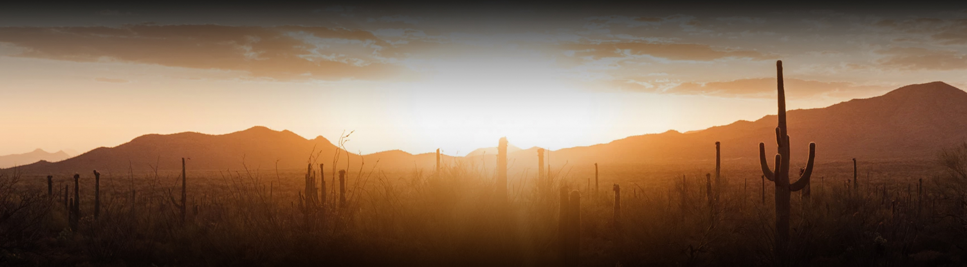 a sunset over a desert