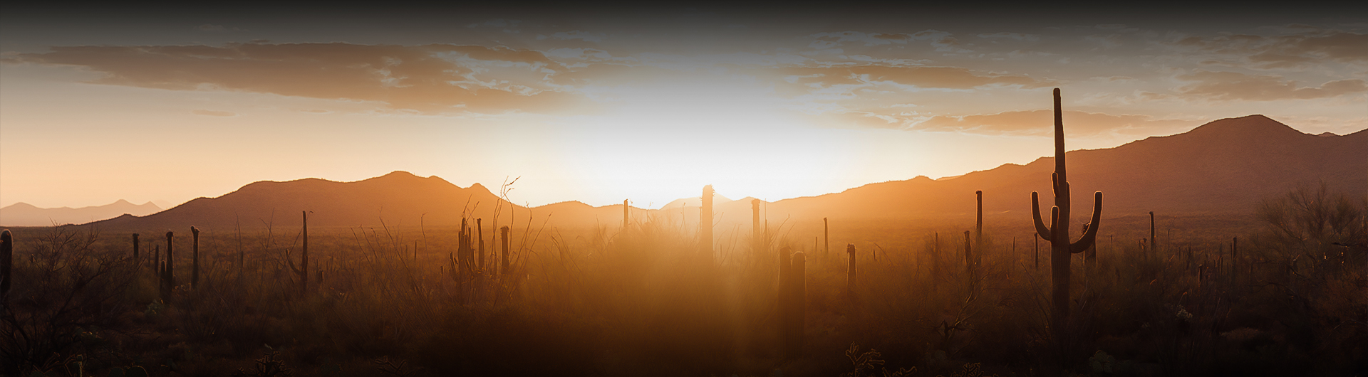 a field with grass and mountains in the background