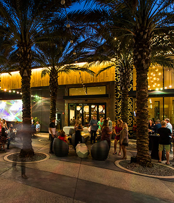 usta recreation art fusion