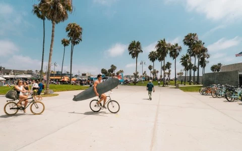 people riding bikes in the sun