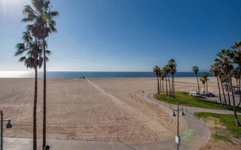 a sandy beach with palm trees