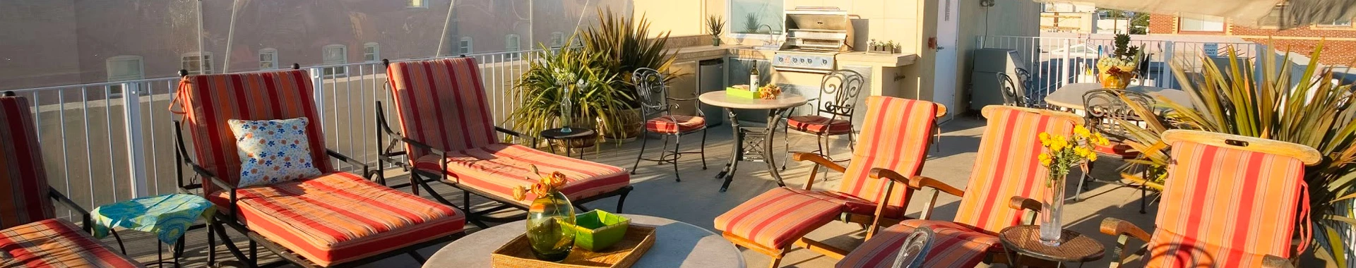 beach chairs basking in the sunlight 