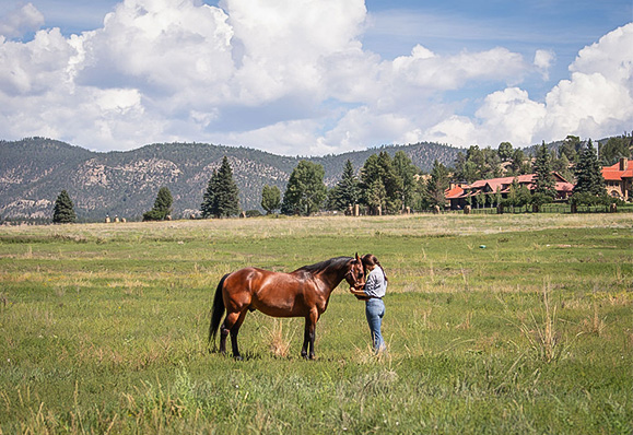 a woman standing in a field with a horse