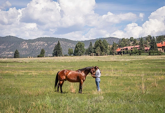 a woman standing in a field with a horse