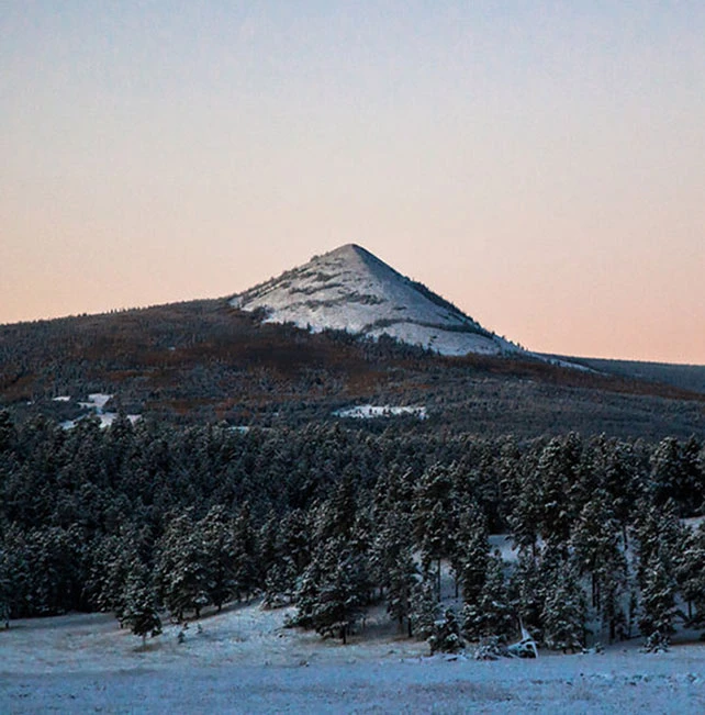 a snowy mountain with trees in the background
