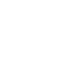 visionhospitalitygroup about brandpartners logo tempo