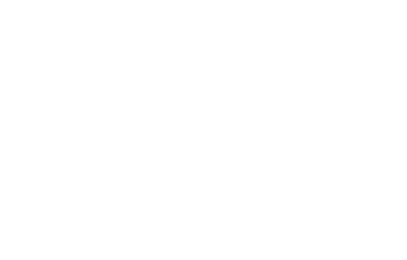 visionhospitalitygroup about brandpartners logo tributeportfolio