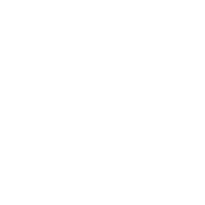 visionhospitalitygroup embassysuites about whowepartnerwith logo