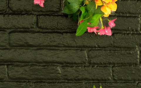 a group of glasses with flowers on a black brick wall