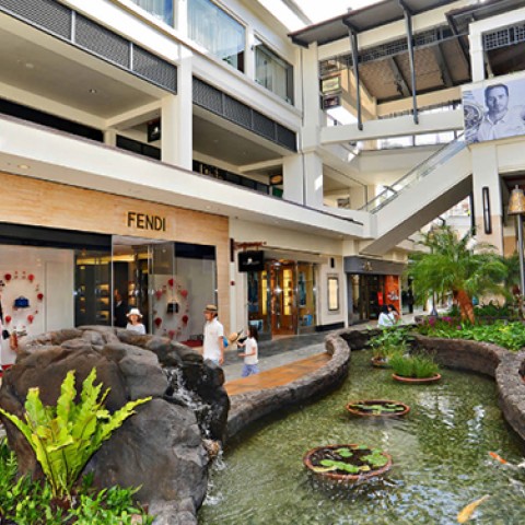 a pond in a mall