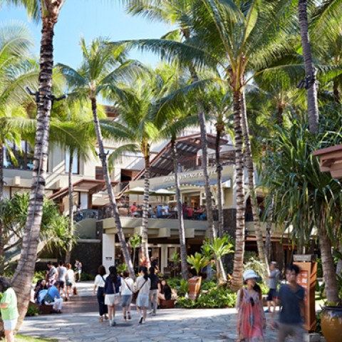 a group of people walking through a courtyard with palm trees