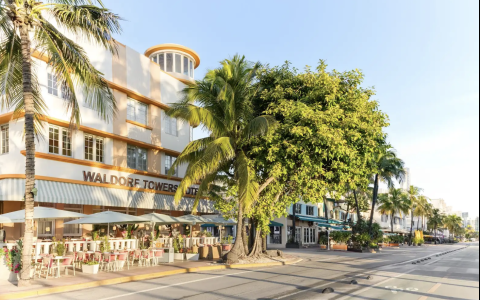 a street with palm trees and buildings