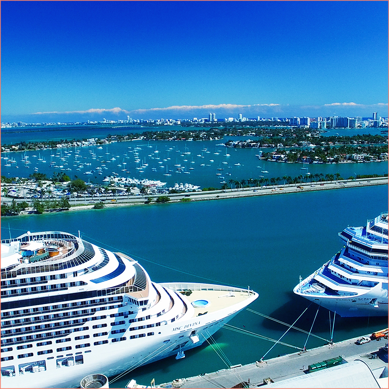 a cruise ships in a harbor