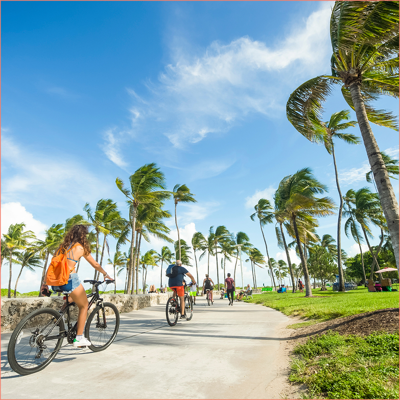 people riding bikes on a path with palm trees