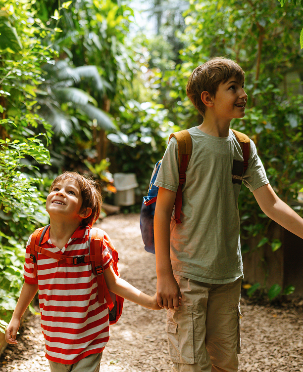 two boys holding hands and walking in a forest