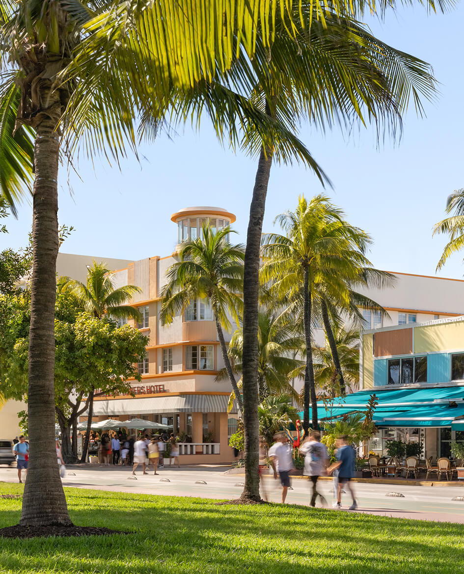 a group of people walking on a street with palm trees