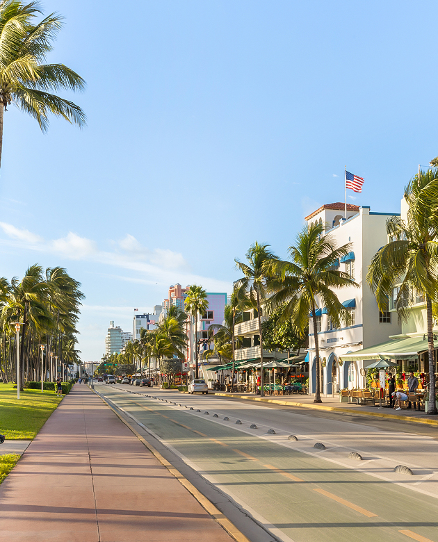 a street with palm trees and buildings