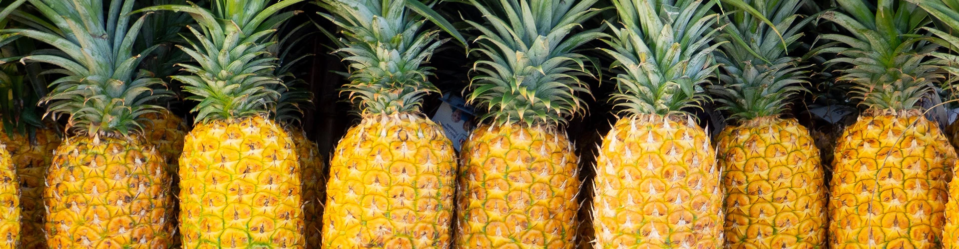 pineapples
