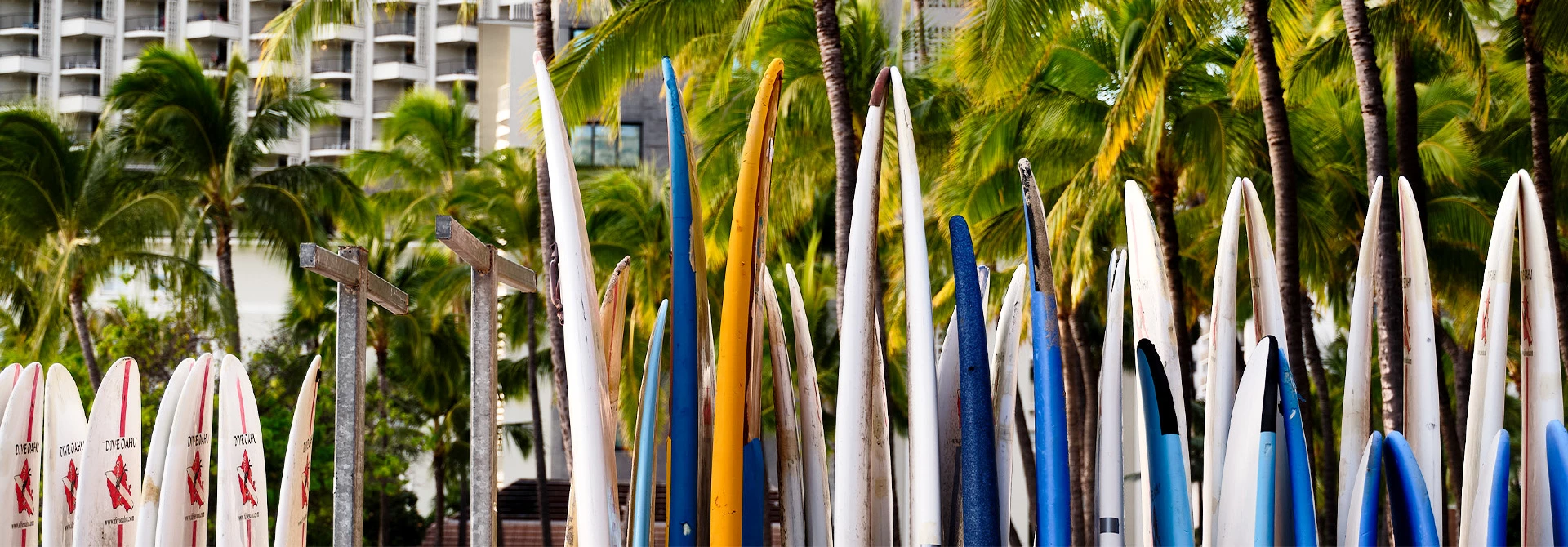 wayfinderwaikiki 04 offers 01 header