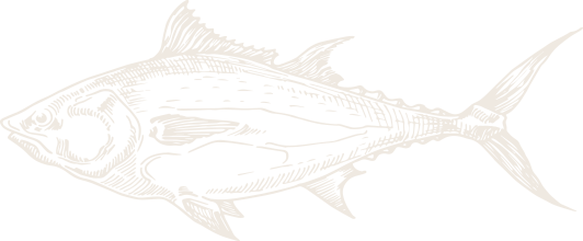 a drawing of a fish